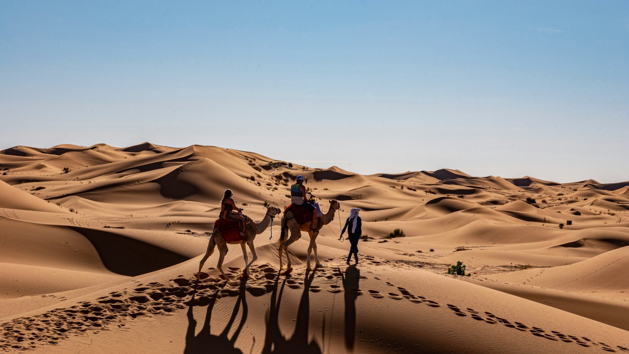 Desert & Wilderness