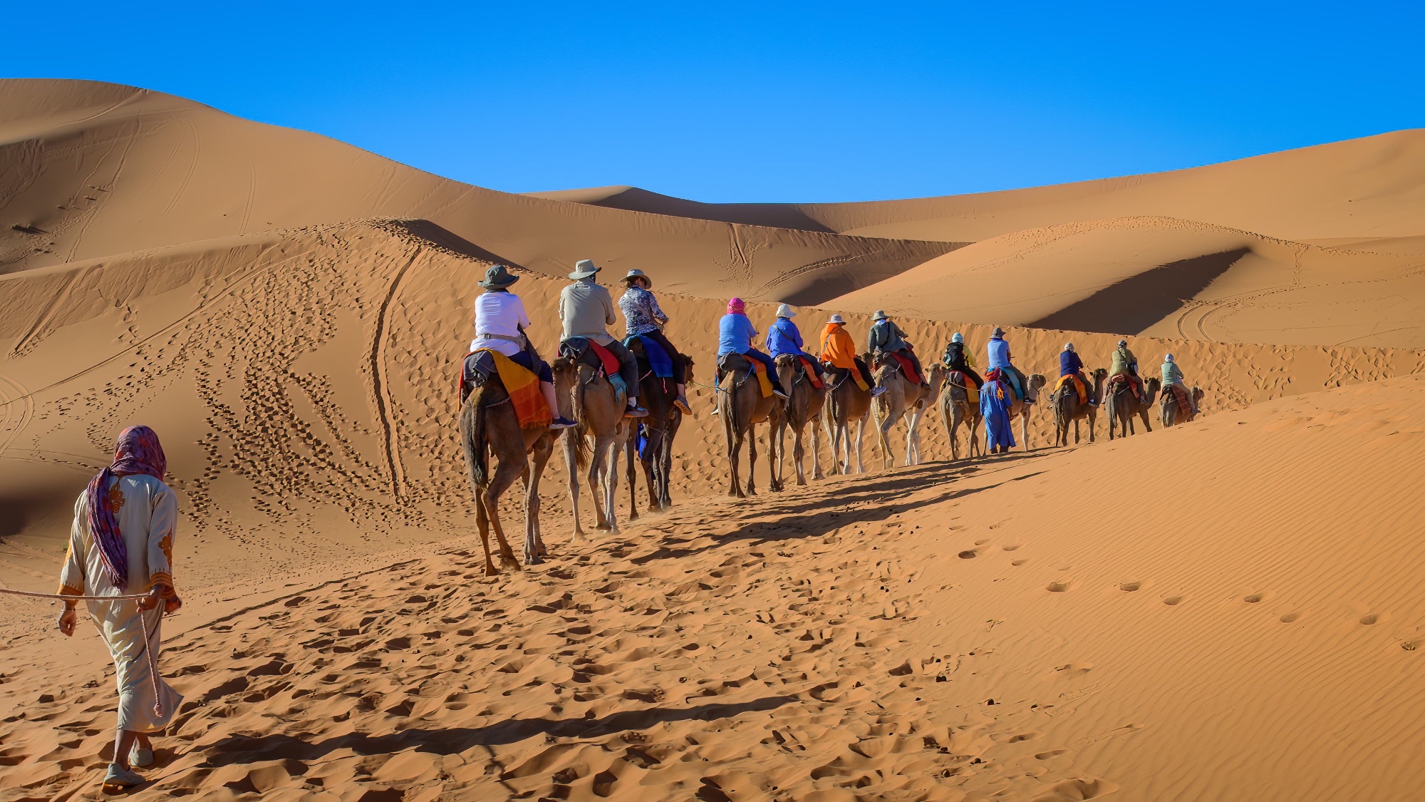 Travel Tips &
