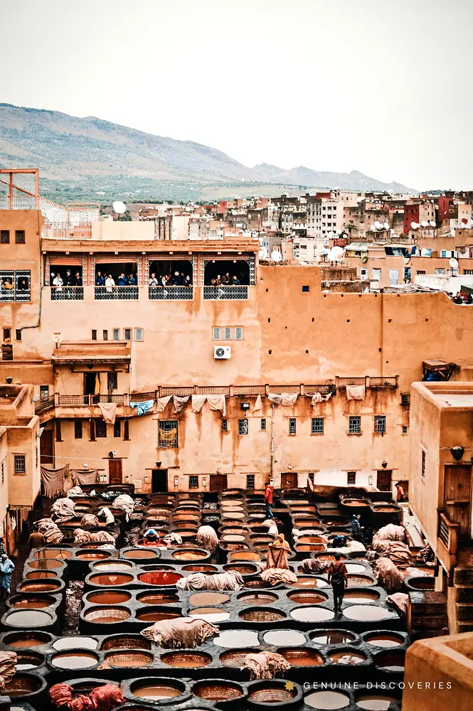Fes Medina